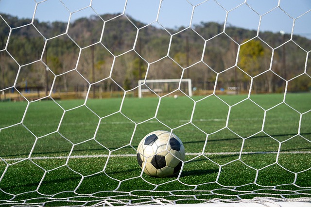 小网球的巨 小网球的巨