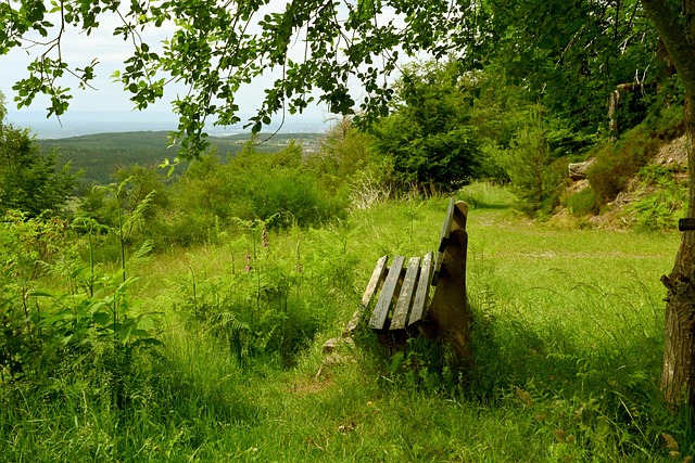 一些差异 一些差异